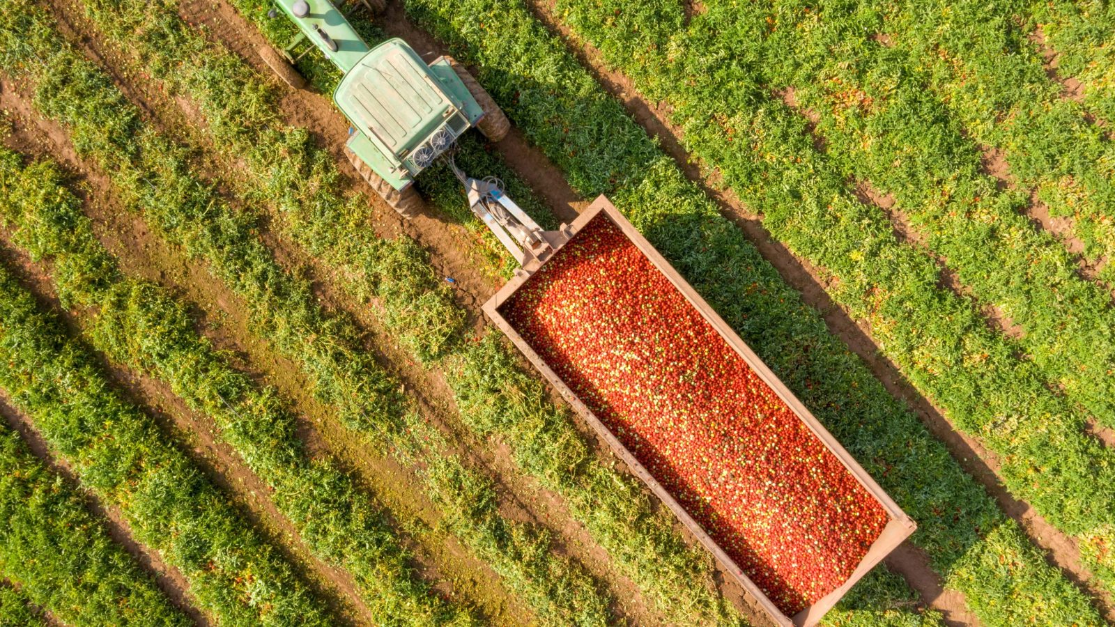 Aerial,Image,Of,A,Tractor,And,Trailer,Loaded,With,Fresh